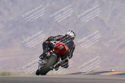 media/Nov-12-2023-SoCal Trackdays (Sun) [[5d1fba4e7d]]/Turn 9 Backside (1015am)/